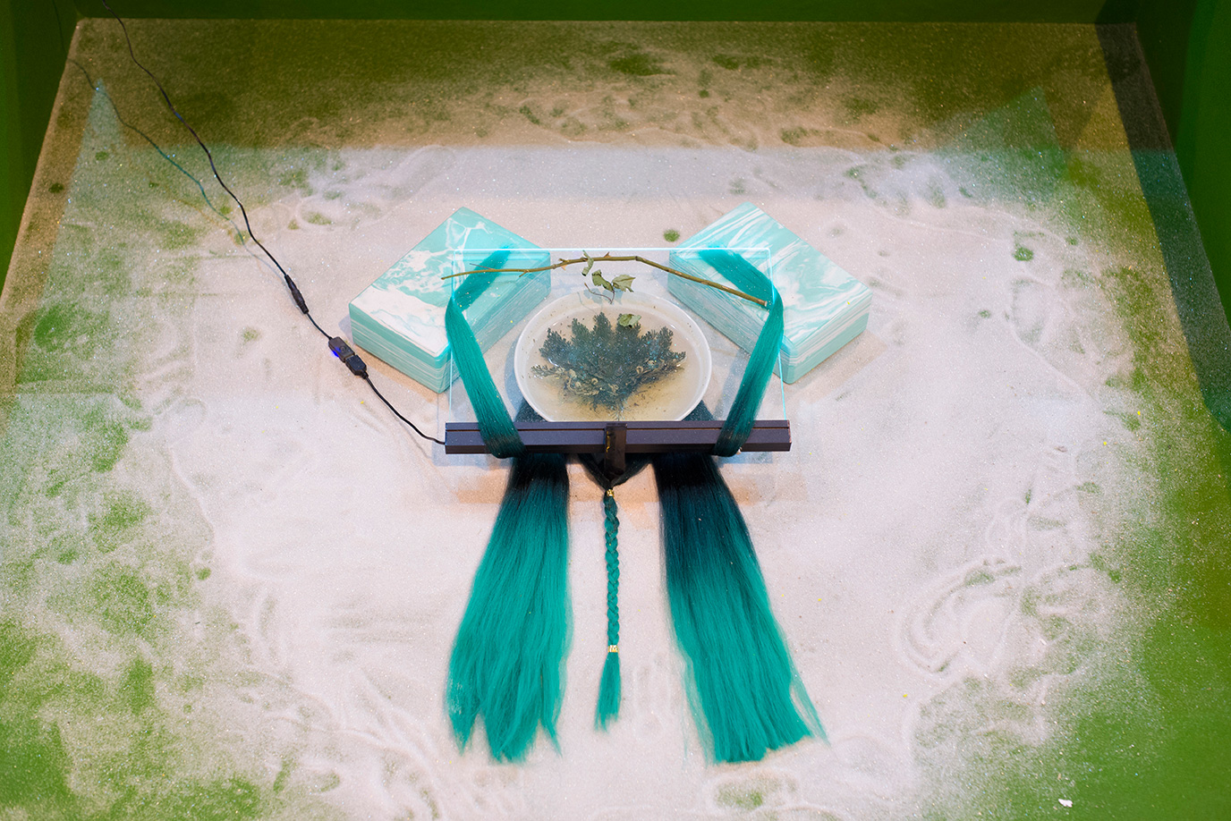 momenta-biennale-patricia-dominguez(2)