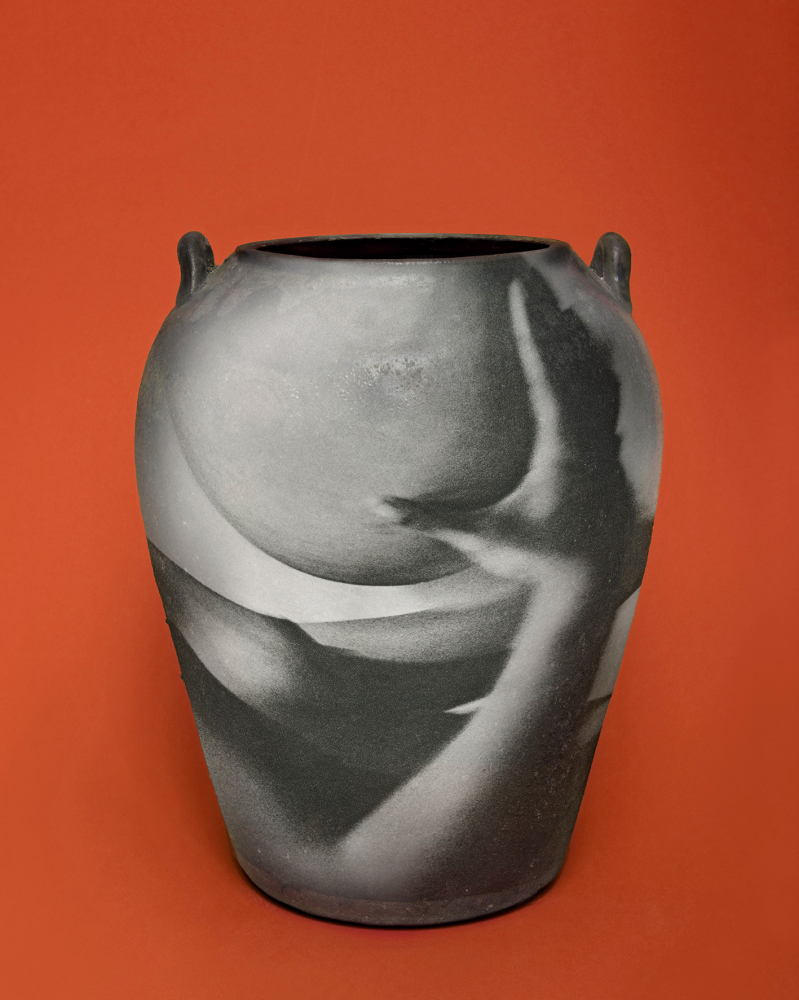 momenta-biennale-alinka-echeverria-simulation-v