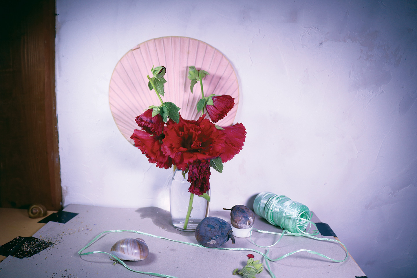 momenta-biennale-elisabeth-belliveau-still-life-with-fallen-fruit(3)