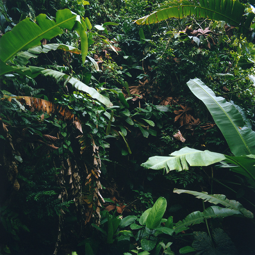 momenta-biennale-karen-paulina-biswell-jai