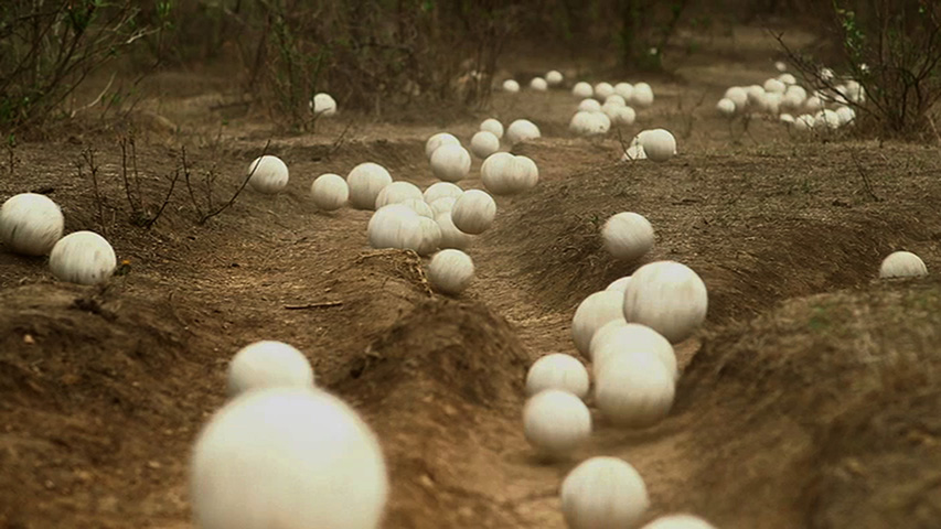 momenta-biennale-miguel-angel-rios-piedras-blancas