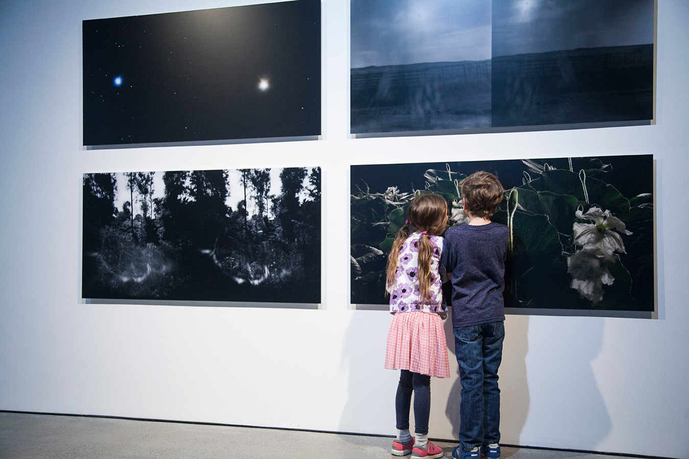 momenta-biennale-2017-do-images-reveal-the-truth