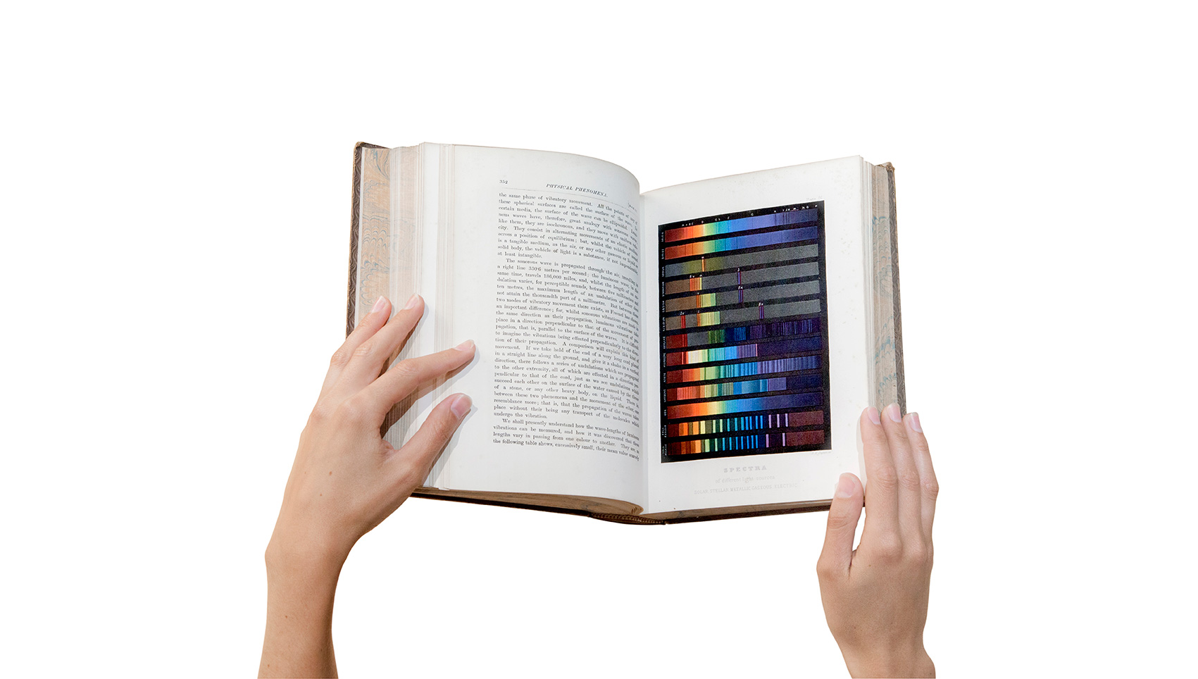 momenta-biennale-marina-gadeonneix-spectra-of-different-sources