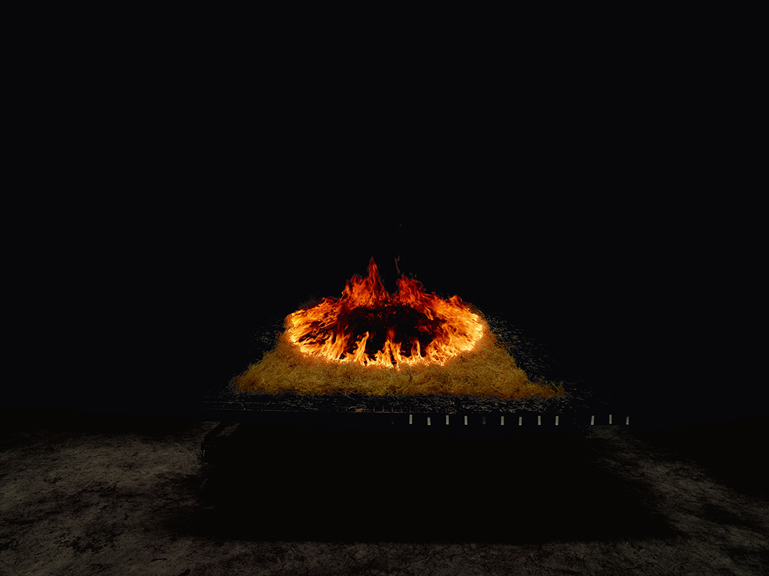 momenta-biennale-marina-gadonneix-wildfire(1)