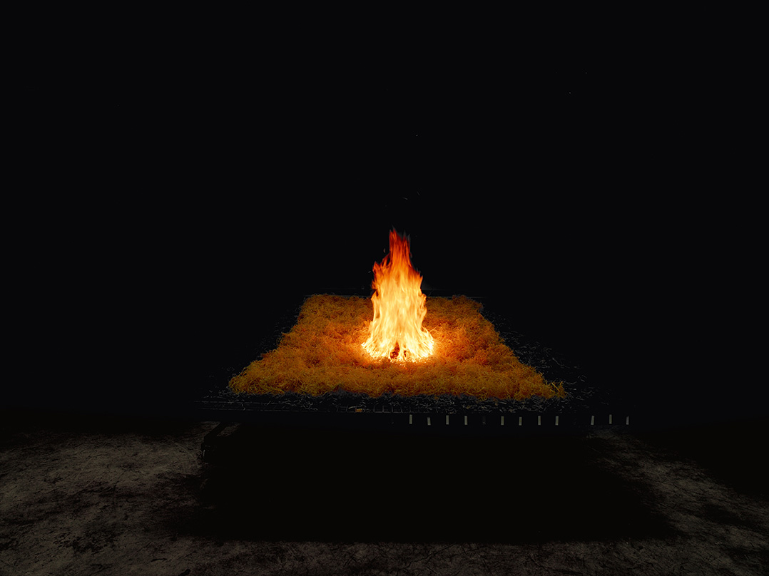 momenta-biennale-marina-gadonneix-wildfire(2)