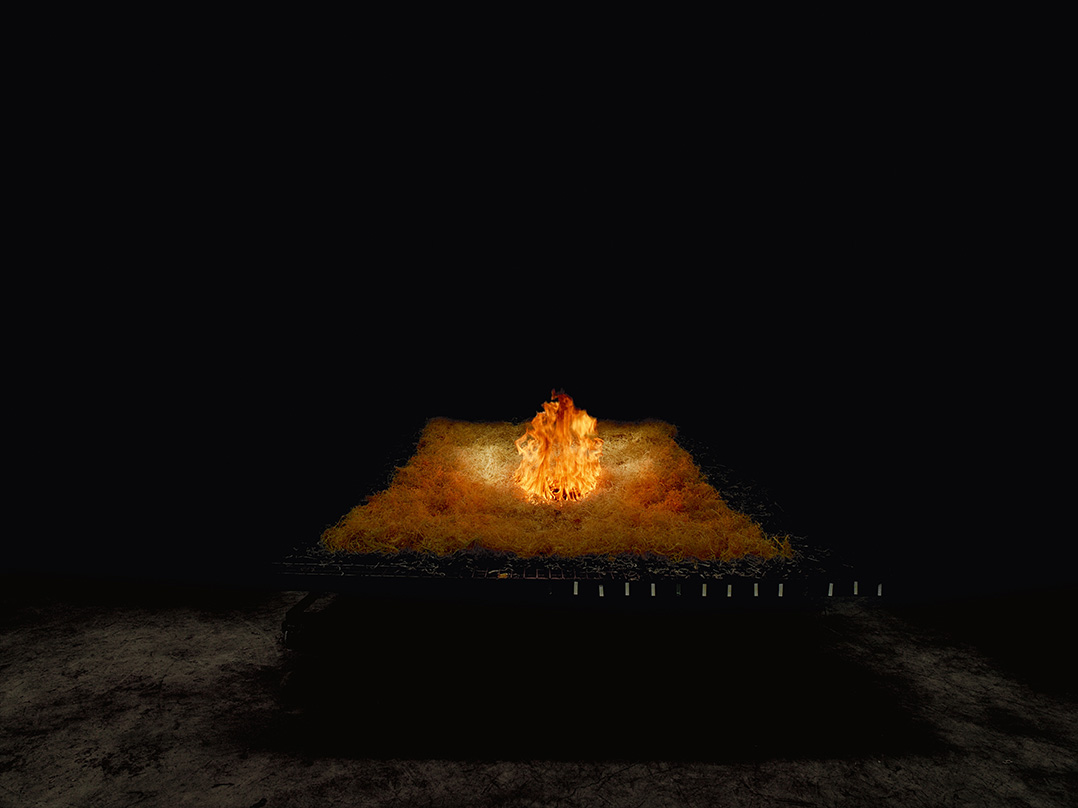 momenta-biennale-marina-gadeonneix-wildfire(3)