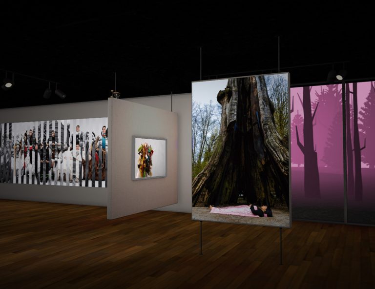 La Galerie des mystères, jeu vidéo éducatif © MOMENTA Biennale d’art contemporain et Dpt. Studio (2018)