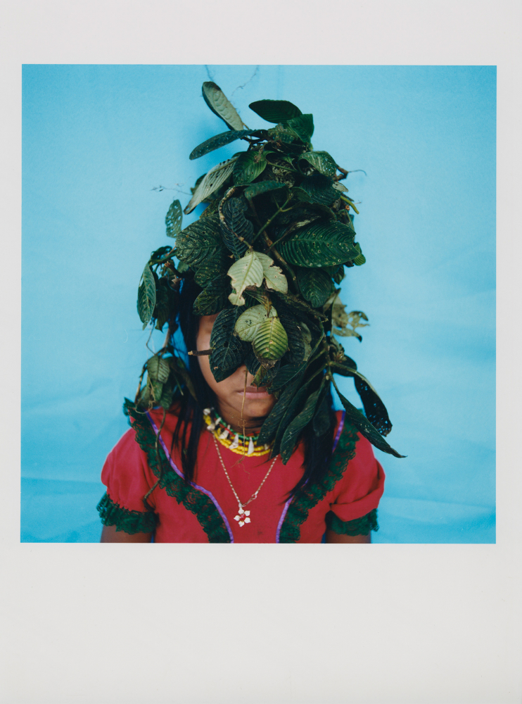 momenta-biennale-karen-paulina-biswell-jagua