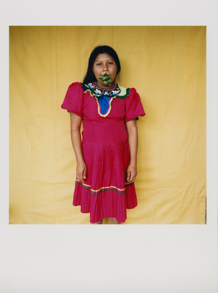 momenta-biennale-karen-paulina-biswell