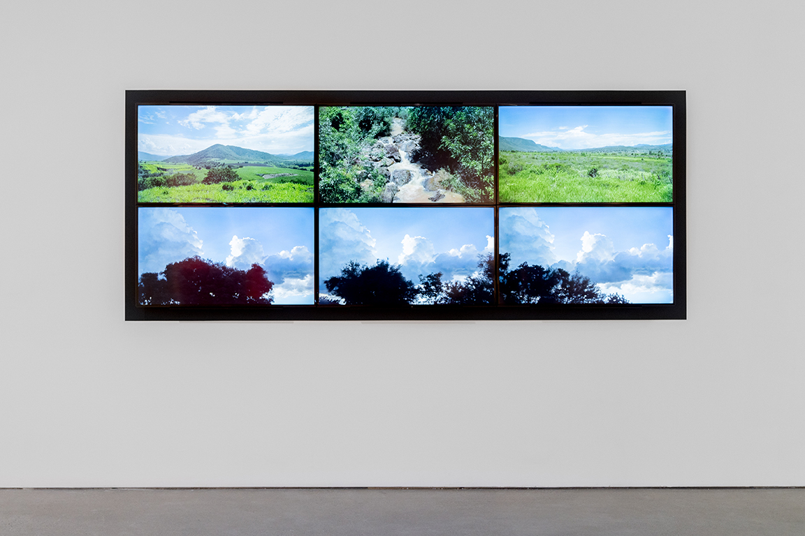 momenta-biennale-rafael-ortega-vidas