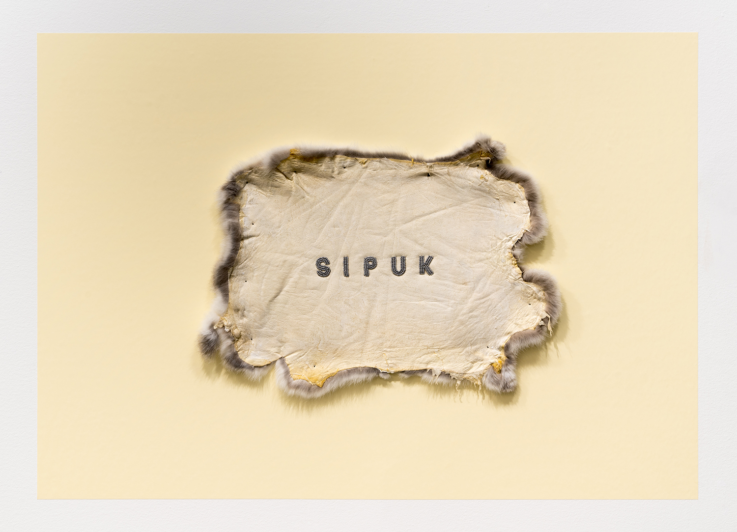 momenta-biennale-meagan-musseau-sipuk