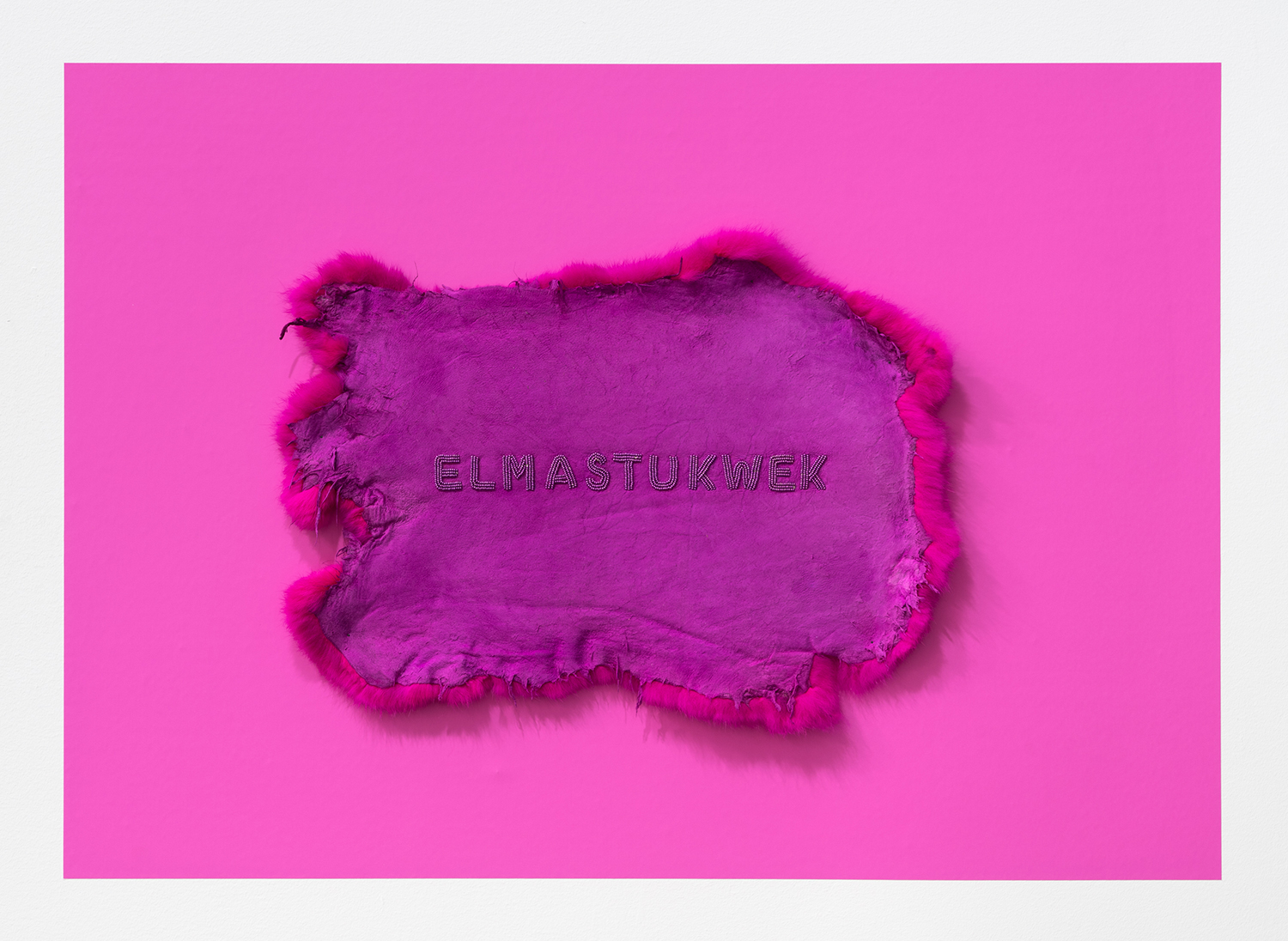 momenta-biennale-meagan-musseau-elmastukwek