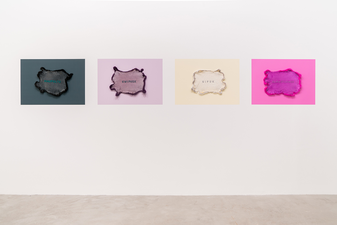 momenta-biennale-meagan-musseau-reclaim