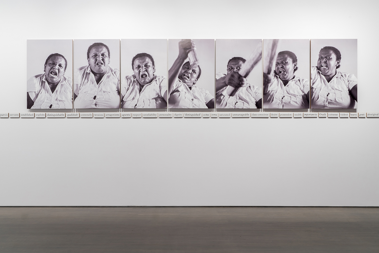 momenta-biennale-jonathas-de-andrade-eu-mestico
