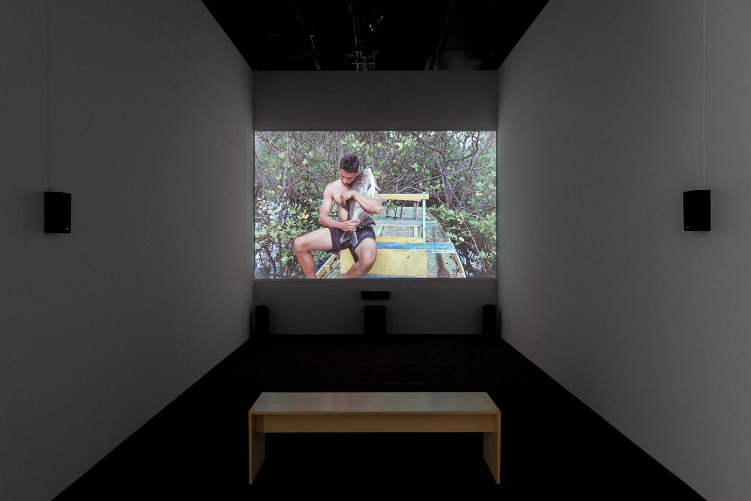 momenta-biennale-jonathas-de-andrade-o-peixe