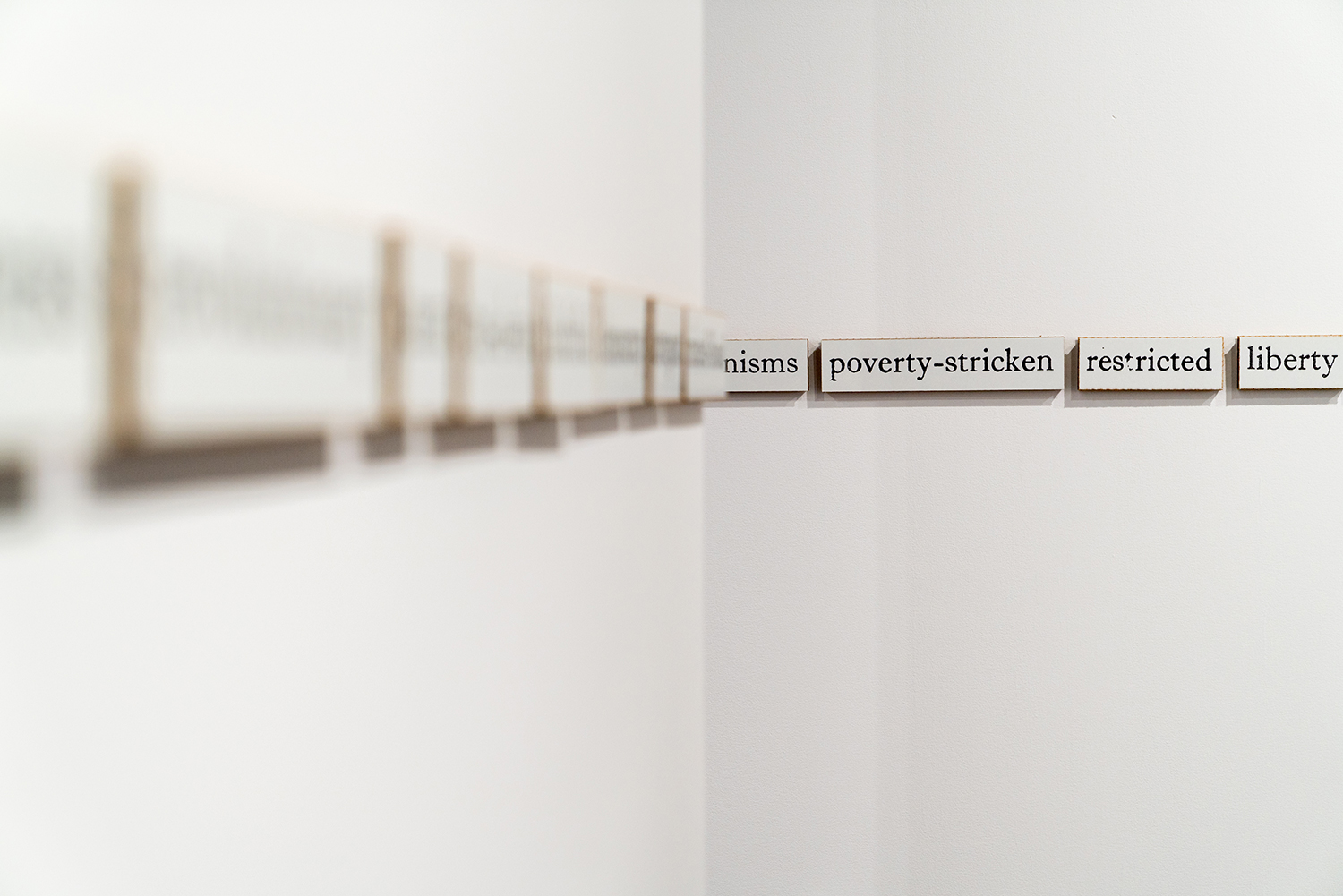 momenta-biennale-jonathas-de-andrade-eu-mestico(2)