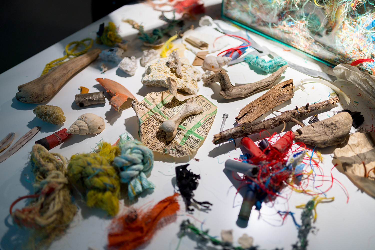 Atelier À l'image de l'archipel par Raphaëlle de Groot, Occurrence, MOMENTA 2019 © MOMENTA Biennale d'art contemporain et Occurrence. Photo : Jean-Michael Seminaro