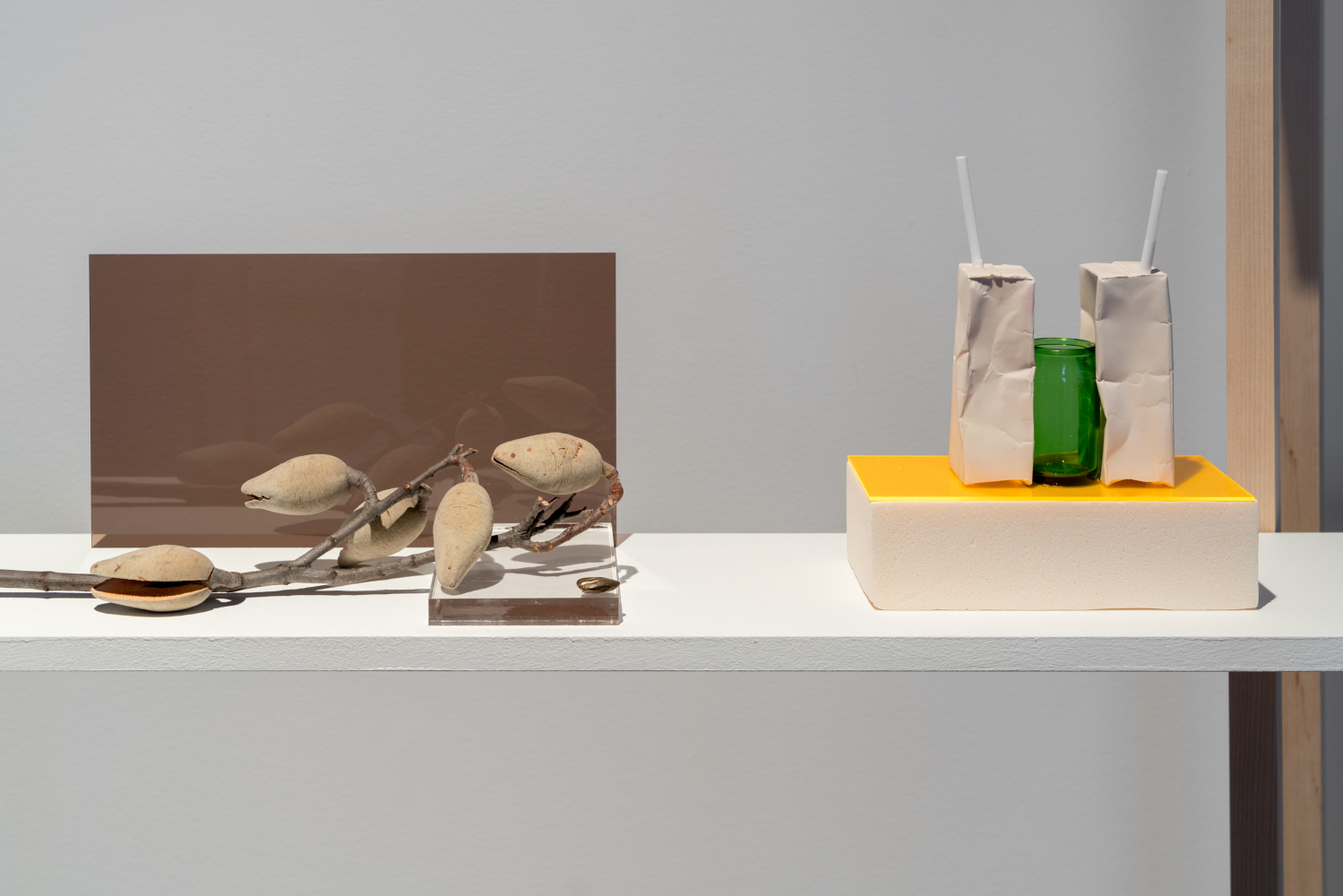 momenta-biennale-elisabeth-belliveau(2)