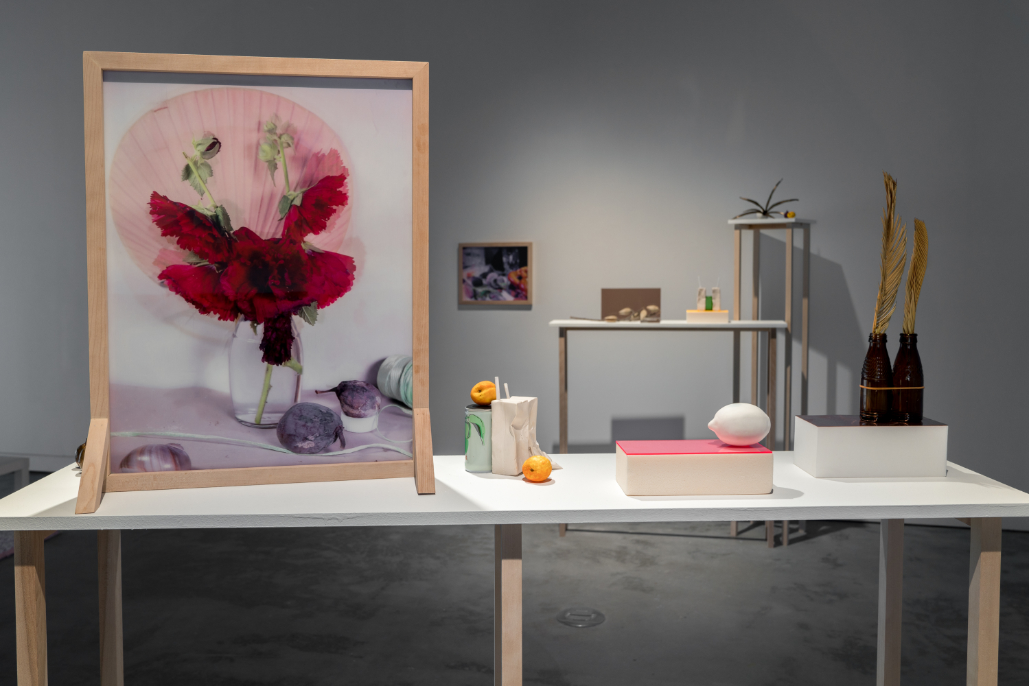 momenta-biennale-elisabeth-belliveau