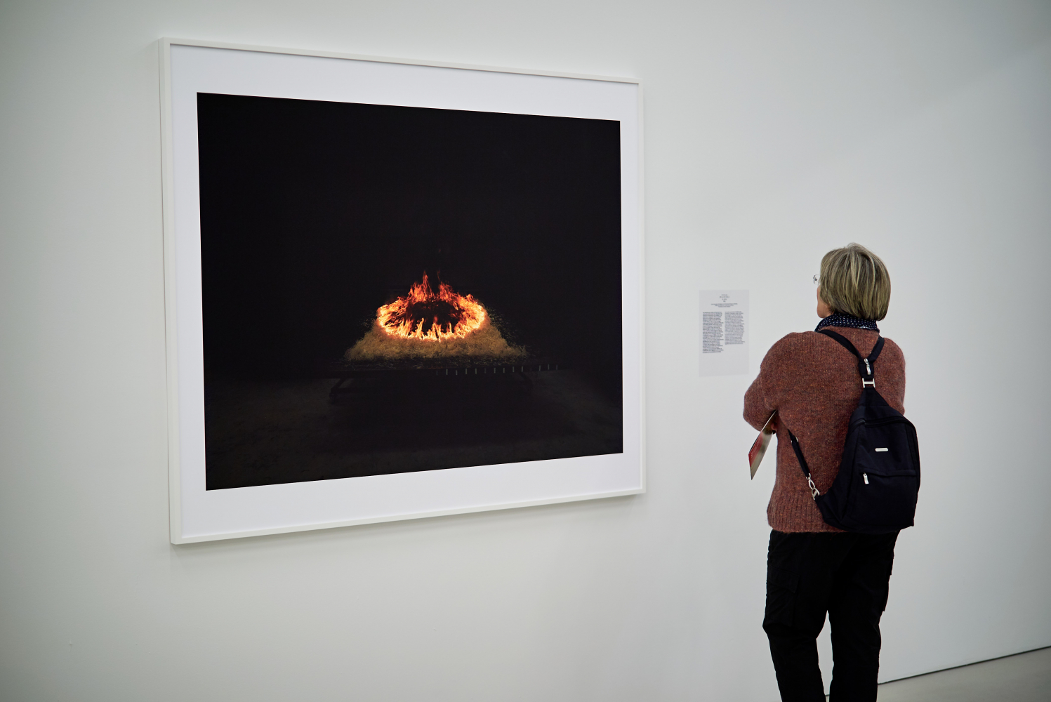 momenta-biennale-marina-gadeonneix-phenomenes