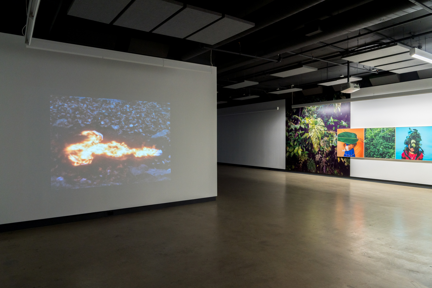 Ana Mendieta and Karen Paulina Biswell, Alma, Silueta en Fuego and Nama Bu series, exhibition view, Dazibao, Montréal, 2019. Photo credit: Jean-Michael Seminaro. © MOMENTA Biennale d’art contemporain and Dazibao.