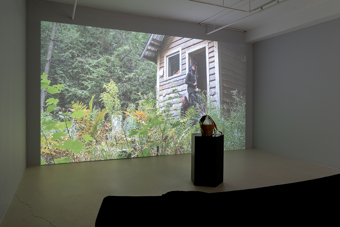 Jamie Ross, Cate Hill, exhibition view, Galerie B-312, Montréal, 2019. Photo credit: Jean-Michael Seminaro. © MOMENTA Biennale d’art contemporain and Galerie B-312.