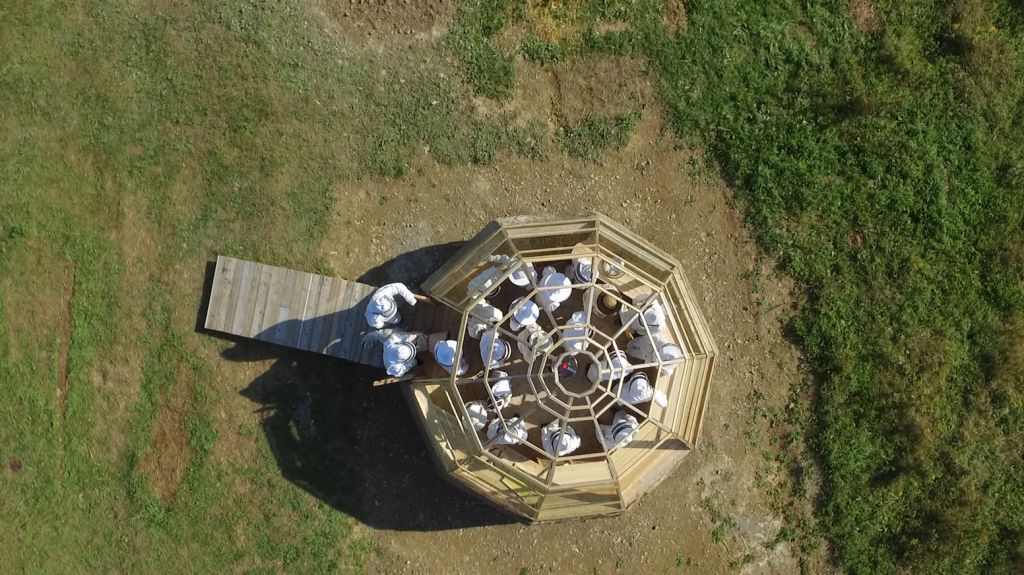 momenta-biennale-maryse-goudreau-tankonautes