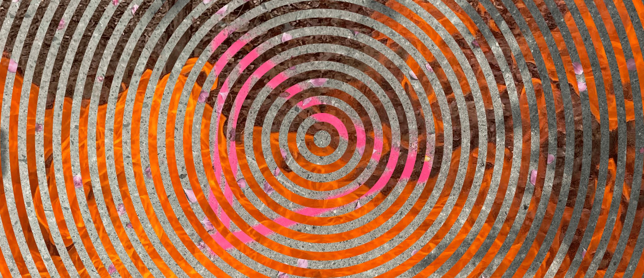 momenta-biennale-caroline-monnet-magnitude02