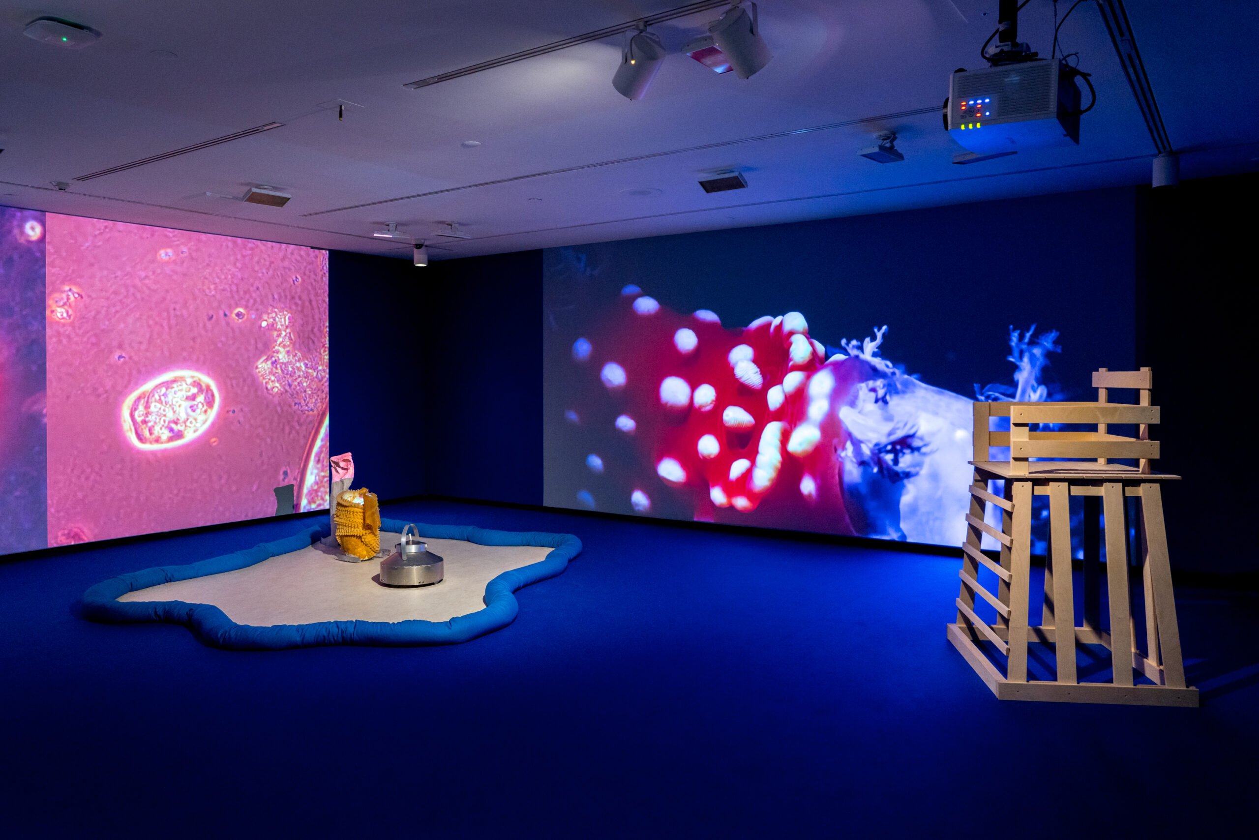 momenta-biennale-anne-duk-hee-jordan-intimite-de-linconnu-mbam