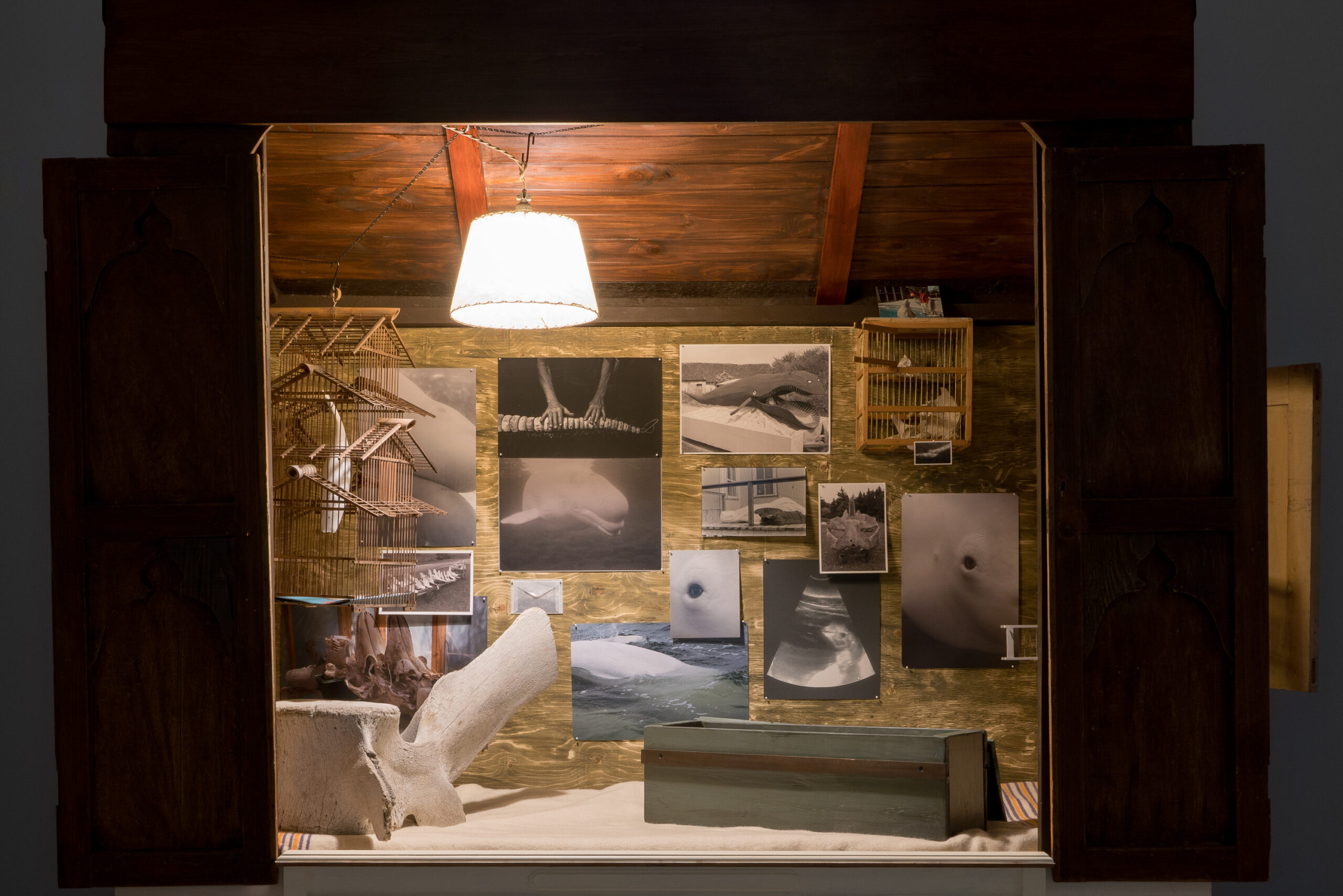 Maryse Goudreau, Ceux et celles qui écoutent les baleines / Whales Listeners (sanctuaire des baleines), 2021, vue d’installation à VOX dans le cadre de MOMENTA 2021. Photo : Jean-Michael Seminaro