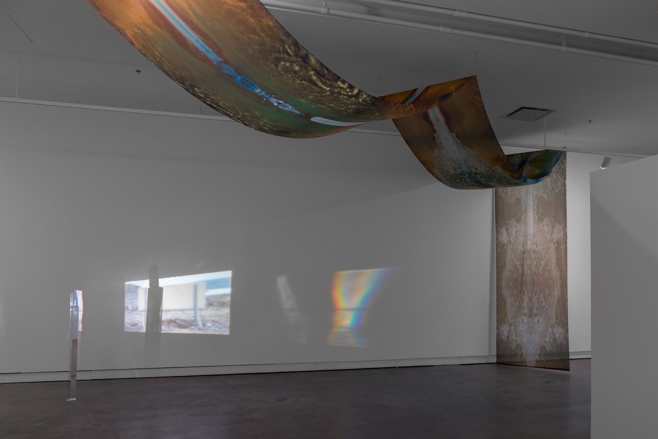 Futurs ruisselants, vue de l’exposition présentée à VOX dans le cadre de MOMENTA 2021. Photo : Jean-Michael Seminaro