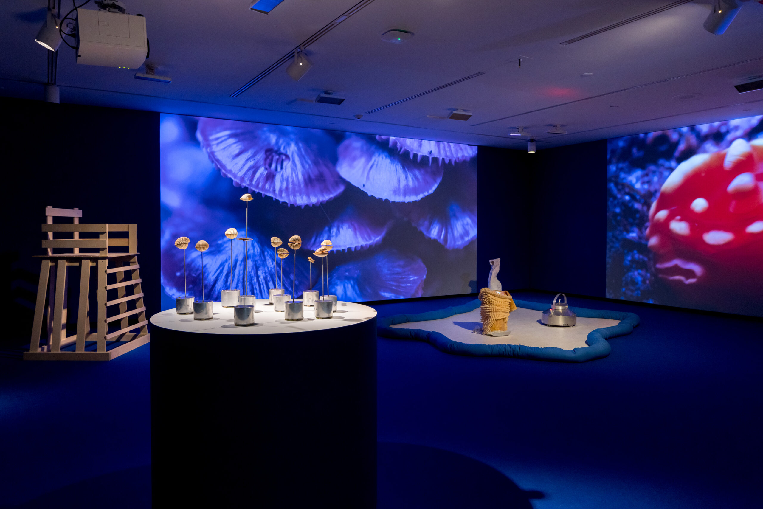 Anne Duk Hee Jordan, Intimacy of Strangers, exhibition view presented at the Montreal Museum of Fine Arts as part of MOMENTA 2021. Photo: Jean-Michael Seminaro