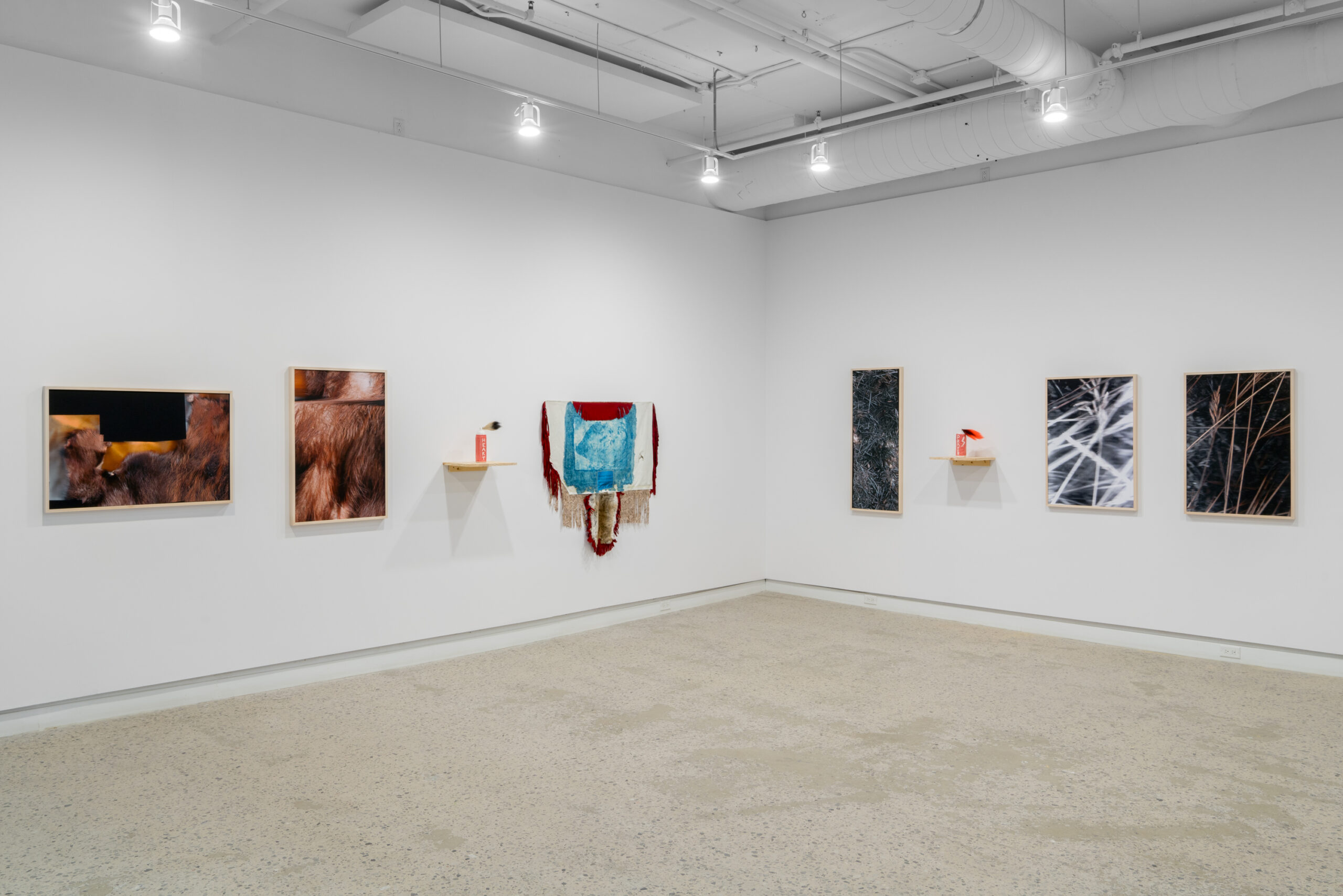 BUSH Gallery, Diffraction. De la lumière et du territoire, vue de l’exposition présentée à OPTICA dans le cadre de MOMENTA 2021. Photo : Jean-Michael Seminaro