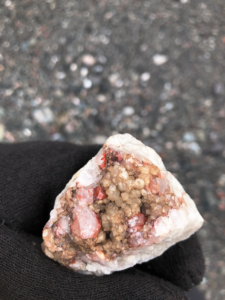 momenta-biennale-tsema-igharas-erin-siddall-a-money-rock