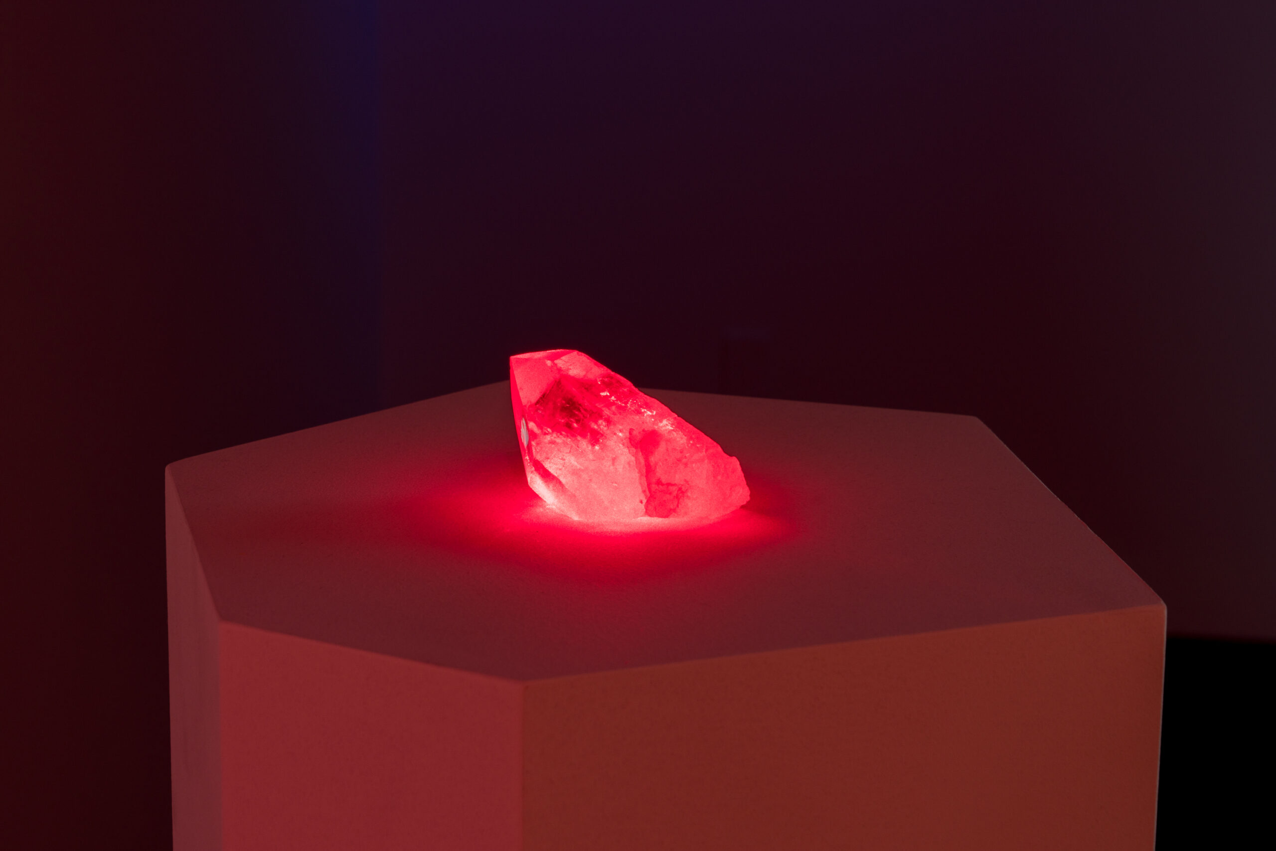 New Red Order, Les derniers des Lémuriens, vue de l’exposition présentée au Centre CLARK dans le cadre de MOMENTA 2021. Photo : Jean-Michael Seminaro