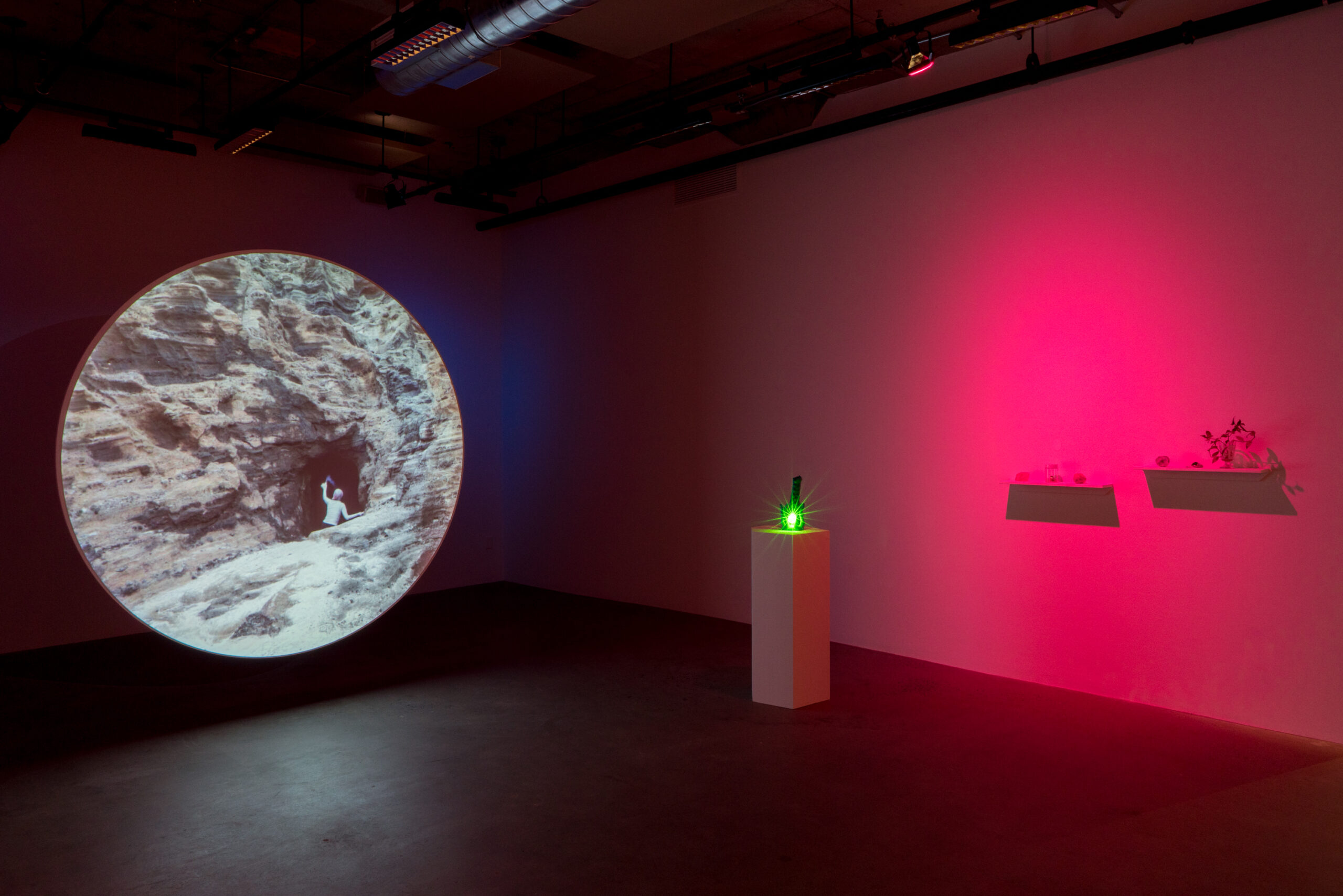 New Red Order, The Last of the Lemurians, exhibition view presented at Centre CLARK as part of MOMENTA 2021. Photo: Jean-Michael Seminaro