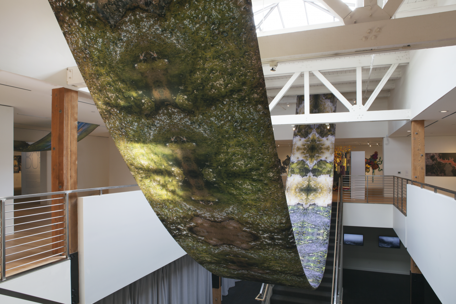 momenta-biennale-carolina-caycedo-wanaawna