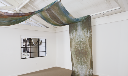 Carolina Caycedo