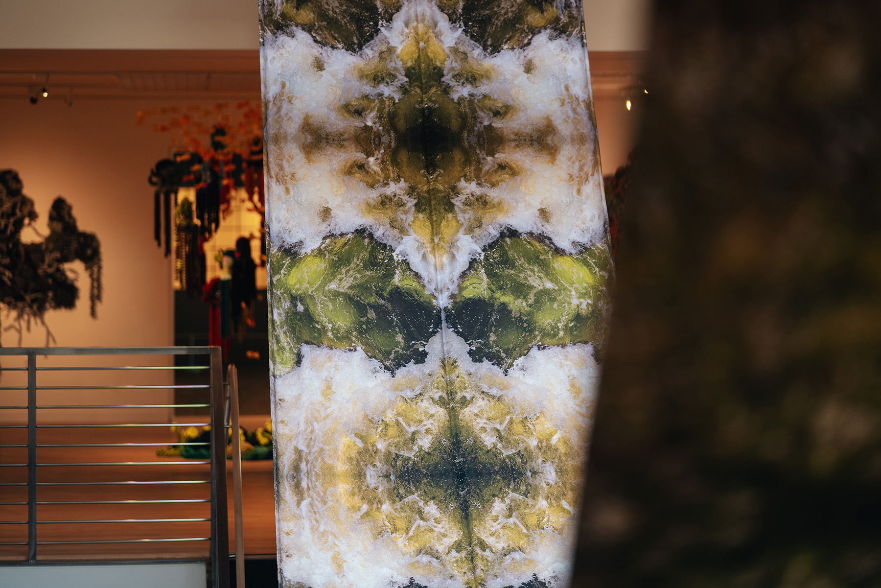 momenta-biennale-carolina-caycedo-wanaawna(2)