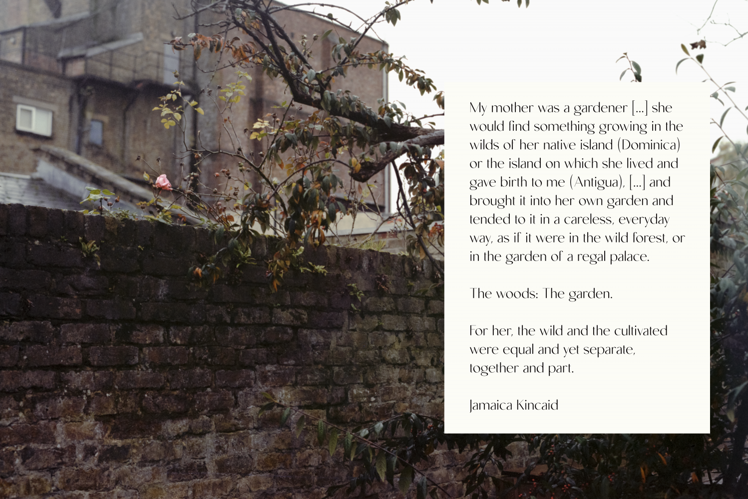 momenta-biennale-eve-tagny-kincaid-reflections-on-english-roses