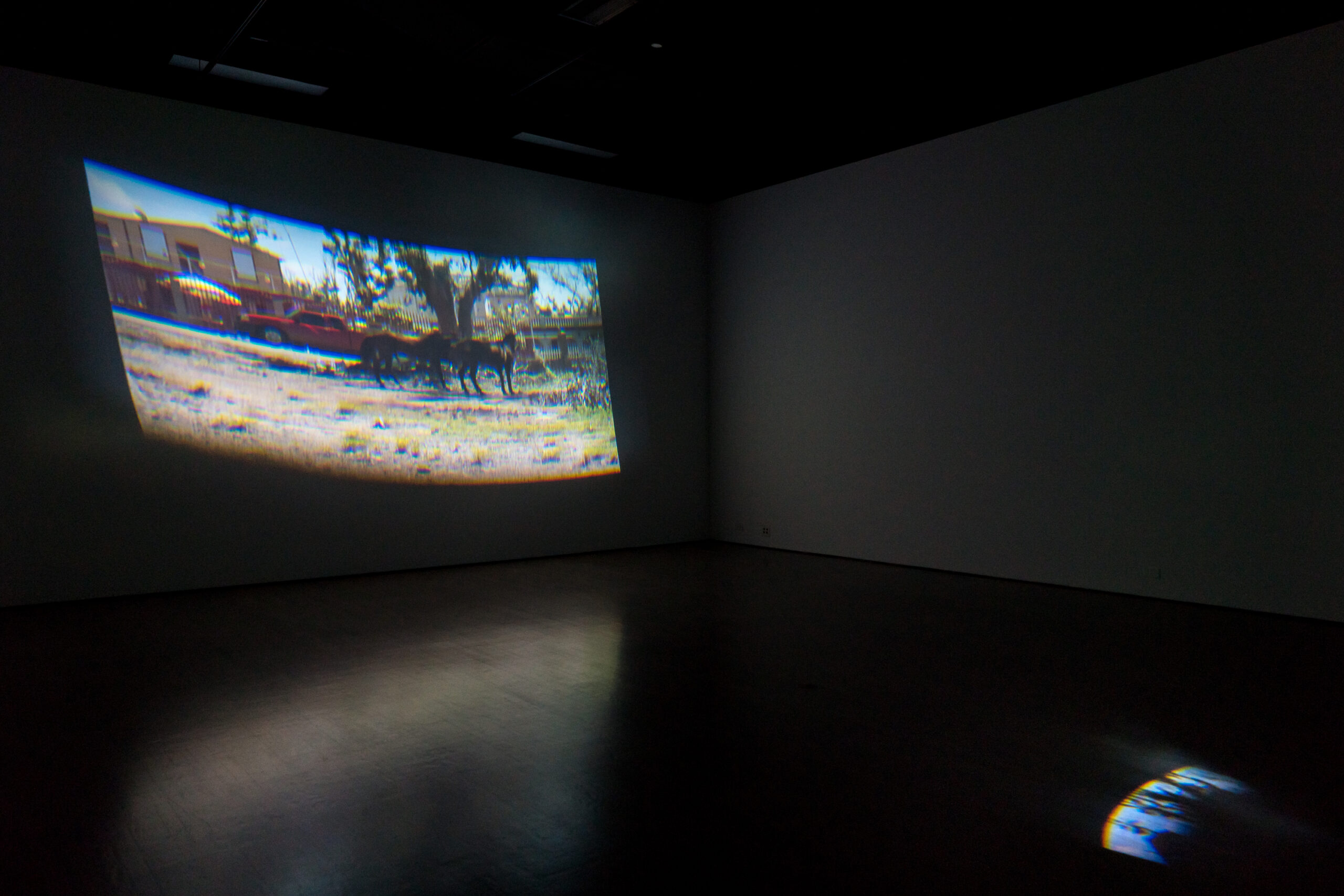 Beatriz Santiago Muñoz, Poetic Disorder, exhibition view presented at the Leonard item-gallery Bina Ellen Art Gallery as part of MOMENTA 2021. Photo: Jean-Michael Seminaro