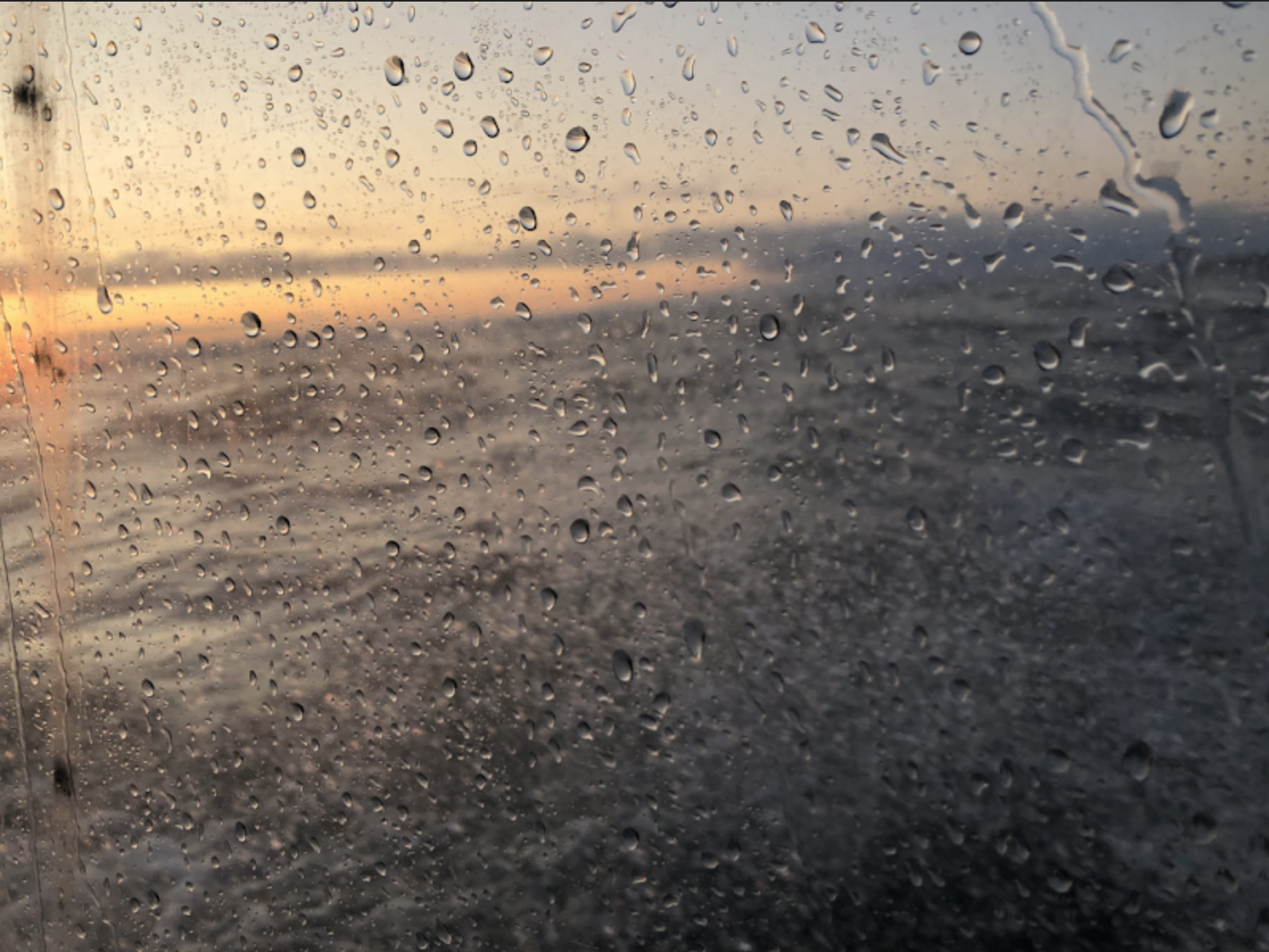 momenta-biennale-tsema-igharas-erin-siddall-great-bear-lake