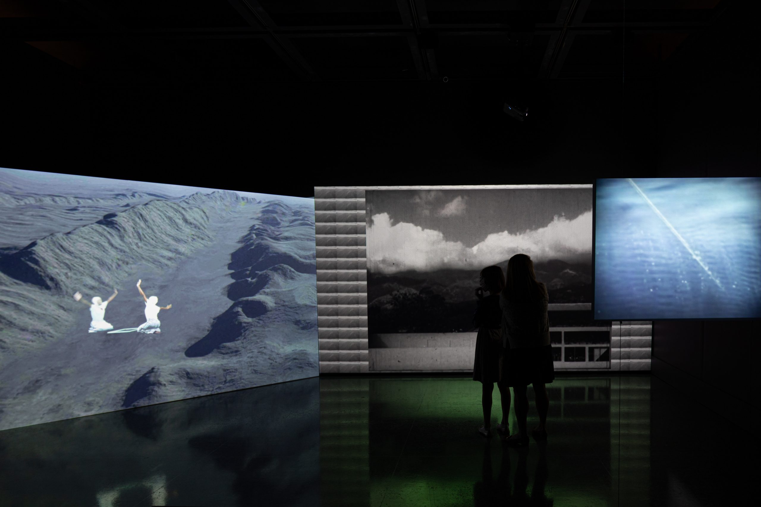 momenta-biennale-jamilah-sabur-a-steep-path(2)