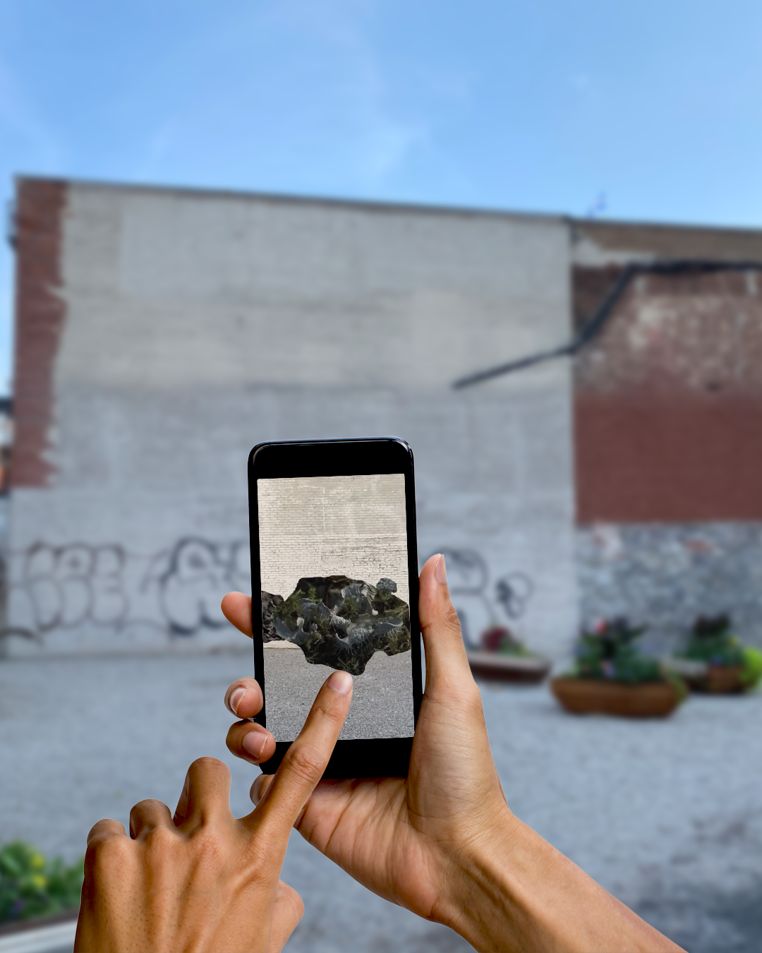 Lisa Jackson, Lichen, augmented reality artwork documentation, 2021. Photo montage: Amélie Labrosse