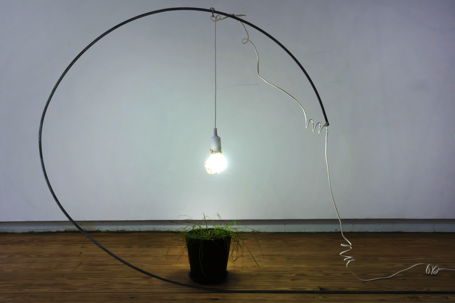 momenta-biennale-miriam-simun-corpreal-download