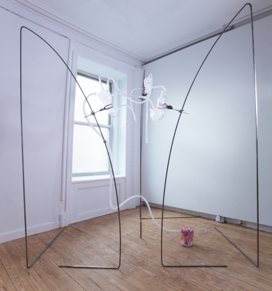 momenta-biennale-miriam-simun-corporeal-download(2)