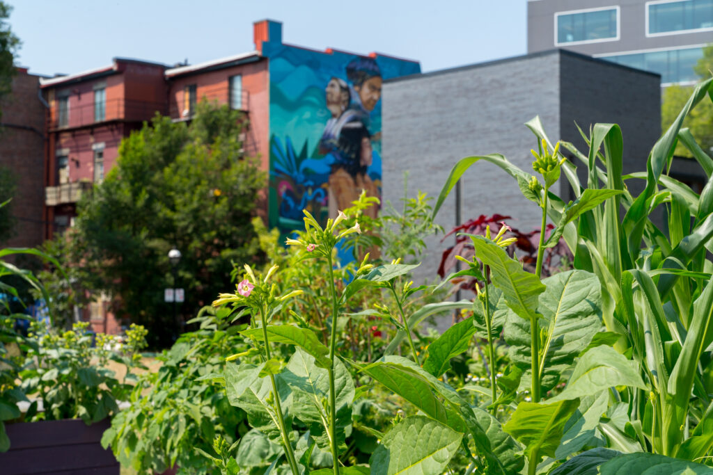 T'uy’t'tanat-Cease Wyss, TEIONHENKWEN Supporters of Life, 2021, installation view on the north site of the Grande Bibliothèque / BAnQ as part of MOMENTA 2021. Photo: Jean-Michael Seminaro