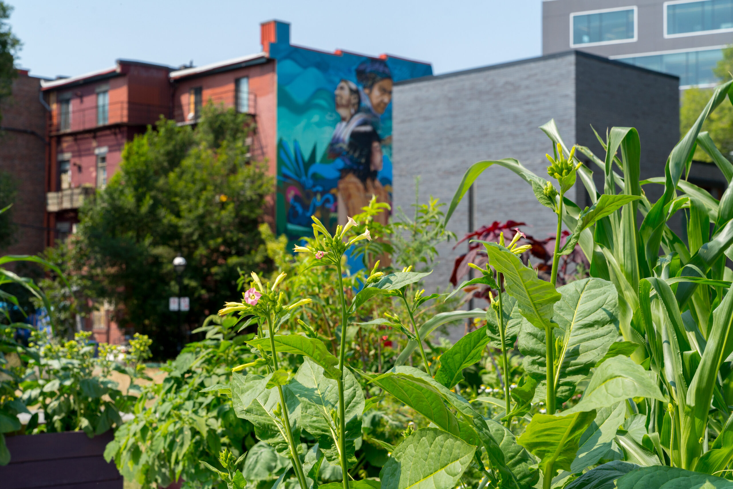 T'uy’t'tanat-Cease Wyss, TEIONHENKWEN Supporters of Life, 2021, installation view on the north site of the Grande Bibliothèque / BAnQ as part of MOMENTA 2021. Photo: Jean-Michael Seminaro