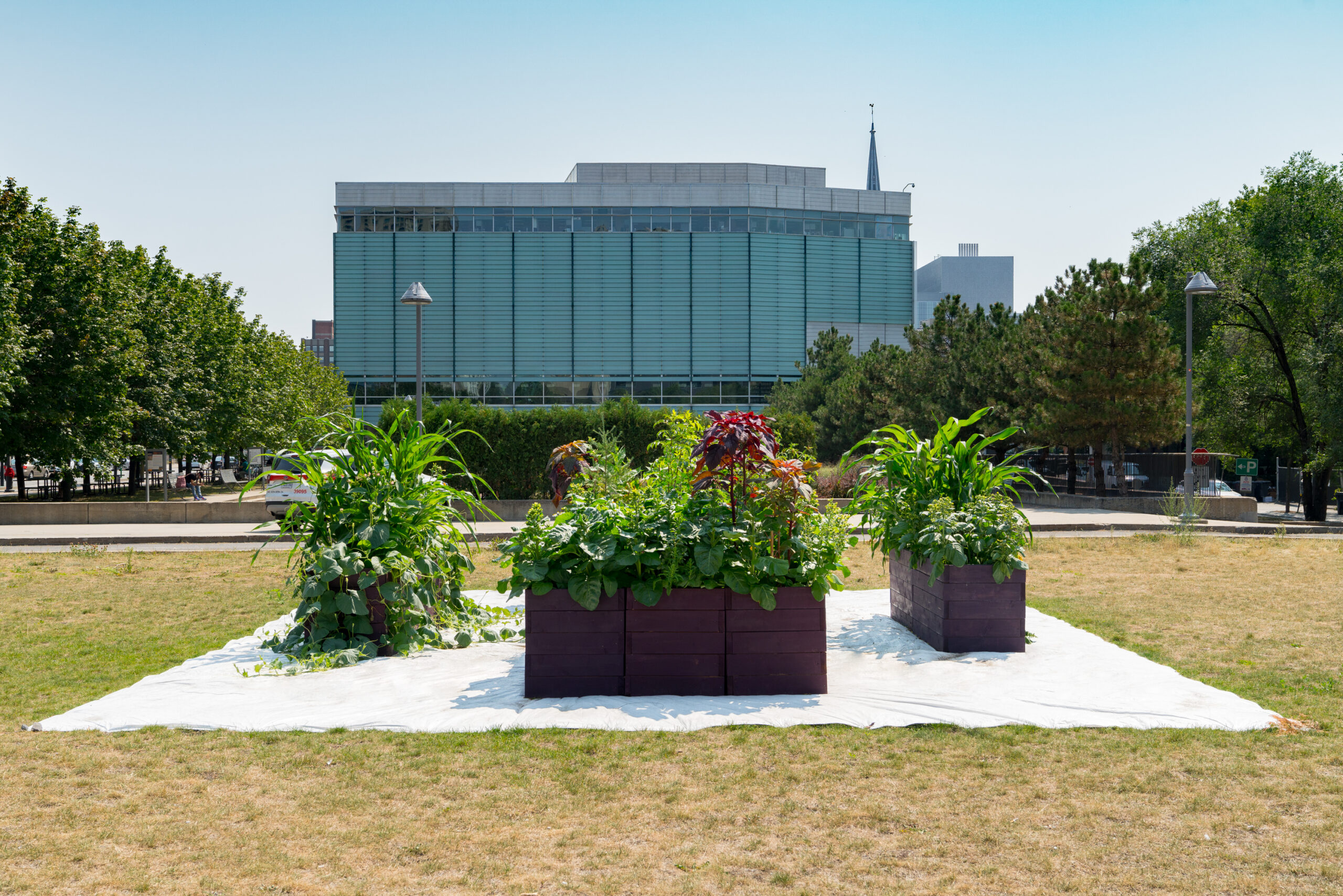 momenta-biennale-2021-t'uy't'tanat-cease-wyss