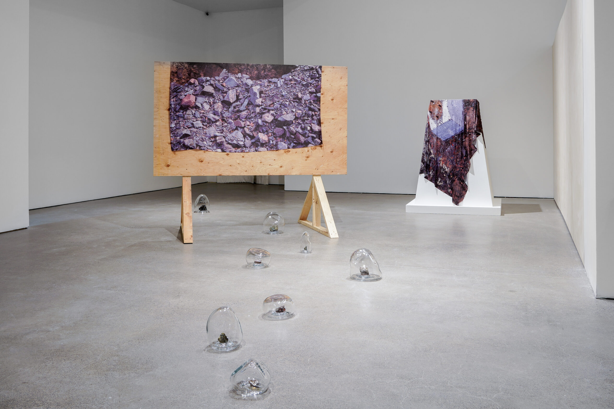 momenta-biennale-tsema-igharas-erin-siddall